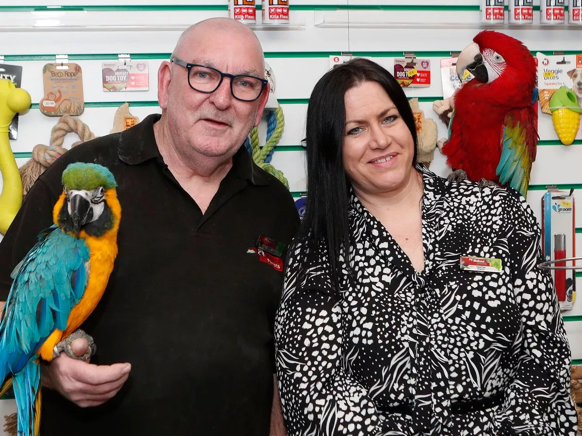 Buy Exotic Birds For Sale