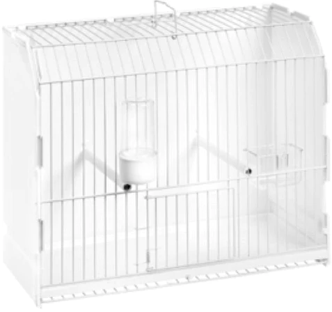 Shop Primary Image