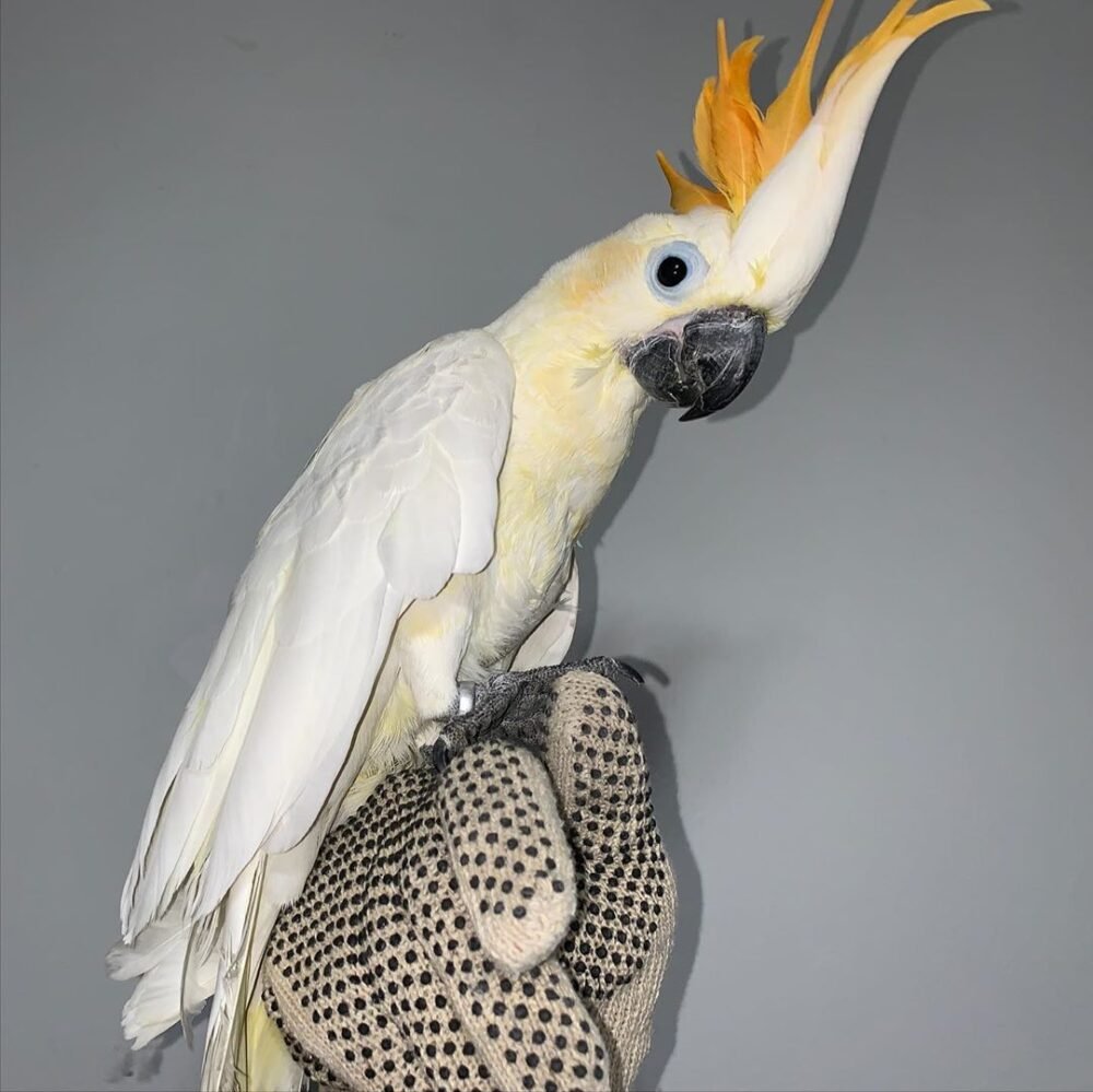 Shop Primary Image