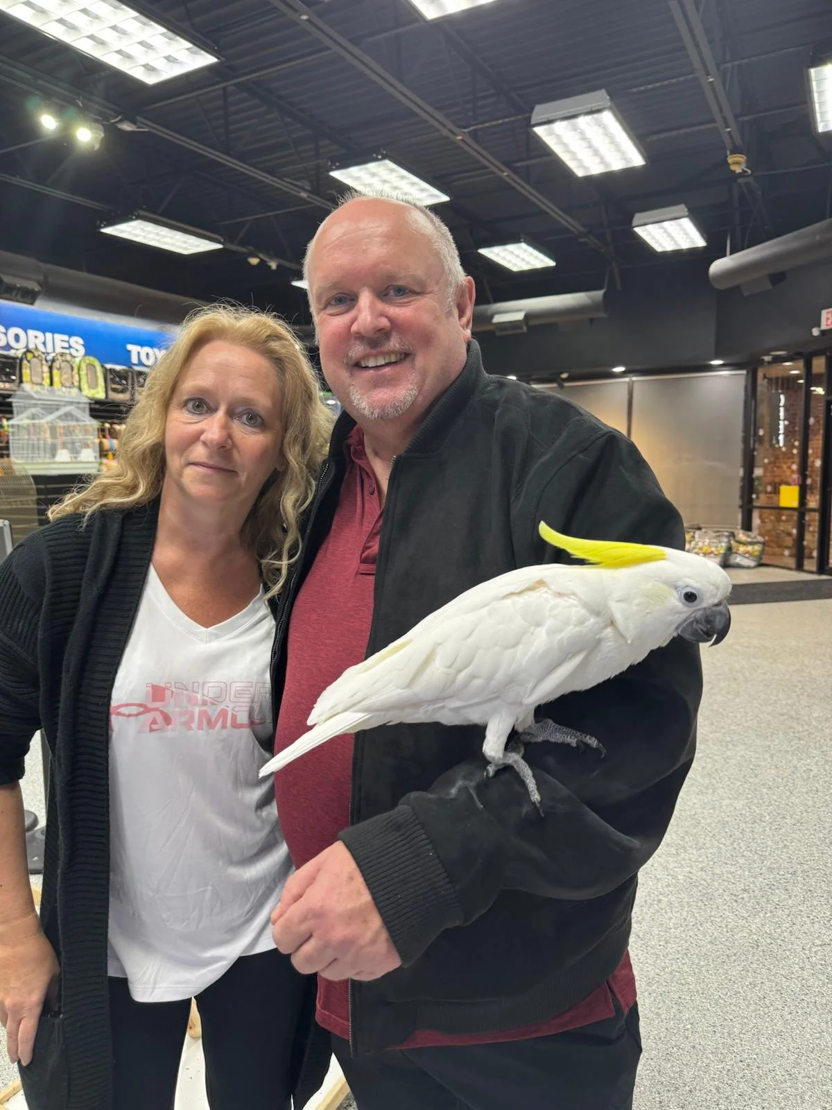Buy Exotic Birds For Sale