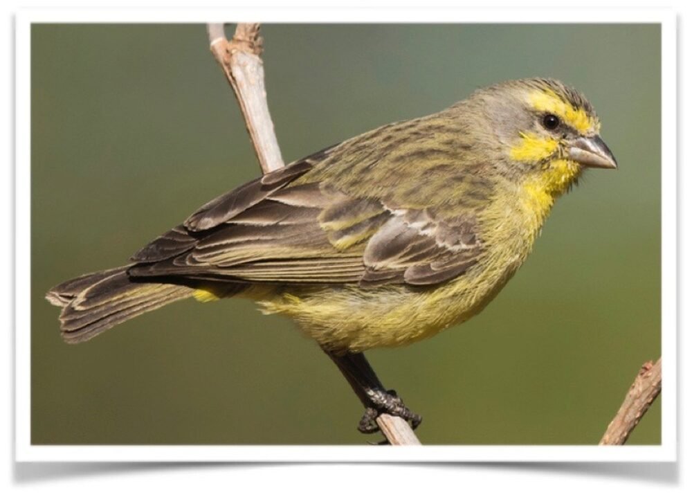 Shop Primary Image