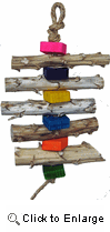 Shop Primary Image