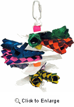 Shop Primary Image